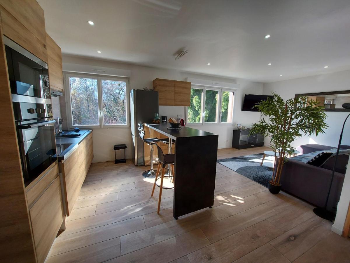סנט-ז'וריו Superbe Appartement Au Centre De St Jorioz מראה חיצוני תמונה