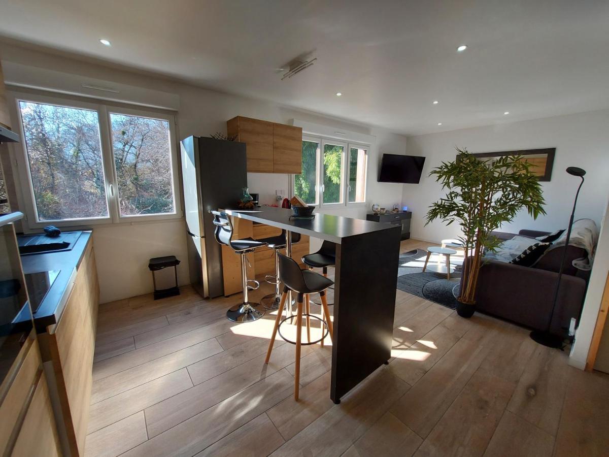 סנט-ז'וריו Superbe Appartement Au Centre De St Jorioz מראה חיצוני תמונה